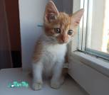 IMG_20221007_175631