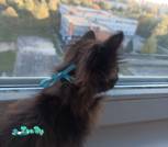 IMG_20221007_175936