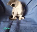 изображение_viber_2022-10-13_11-02-41-238