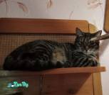 IMG_20240510_115030
