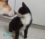 IMG_20221004_193341