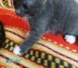 IMG_20220929_195234