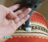 IMG_20220929_195324