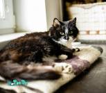 IMG_20221108_144633