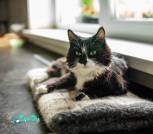 IMG_20221108_144645