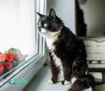 IMG_20221108_144711