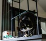 IMG_20221108_144731