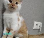 IMG_20221022_133844