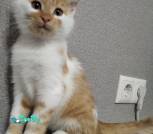 IMG_20221022_133844