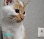 IMG_20221022_133937_1
