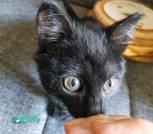 изображение_viber_2022-11-07_21-09-34-875