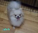 IMG-7661504c7d32e14d4600babdf09f8c34-V