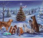IMG-bdf8aac3b295e8ff35a3eca7e35df24b-V