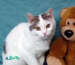 viber_image_2022-11-28_11-09-57-507