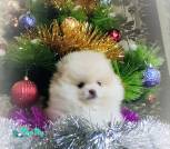 IMG_20221230_153752