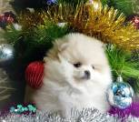 IMG_20221230_153836