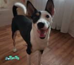 IMG-2ec3b13daeee5ad9b136670b2ba2e51c-V