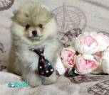 IMG_20230325_133437