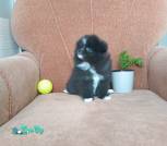 IMG_20230326_123806