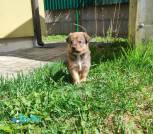 IMG-794b735423c68abe1c4cd746a7bb3721-V