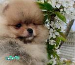 IMG_20230426_114241