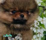 IMG_20230512_122424