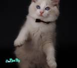 IMG_20230506_191020_271