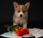 IMG_20230507_124617_657