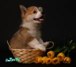 IMG_20230516_011720_492