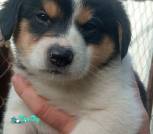 IMG-9b7ae3a5fa4e3904c99e3469301770c2-V