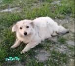 изображение_viber_2023-08-05_22-11-59-974