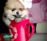 IMG_20230725_093958