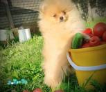 IMG_20230728_194323
