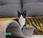 IMG_20230928_214219_129