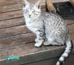 IMG_20231010_154544