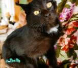 IMG_20231019_105724