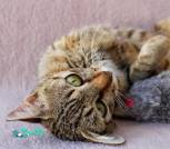 изображение_viber_2023-10-04_14-23-31-907