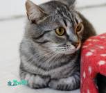 изображение_viber_2023-06-16_12-46-09-536