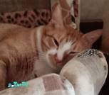 9 IMG_20240510_122721