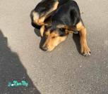IMG-70652537f0df9c6878e9fc7cea96cbd7-V