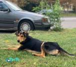 IMG-8a7312ae0153e3cb2f84c7483b1ea7ab-V