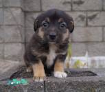 IMG-20231119-WA0071