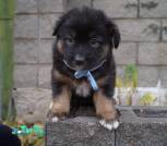 IMG-20231119-WA0074