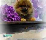 IMG_20231022_162625