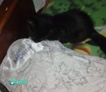 IMG_20231114_193636_085