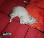 IMG_20231114_194153_503