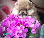 IMG_20231031_101010