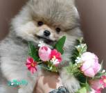 IMG_20231114_144600