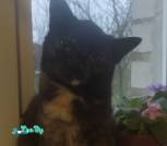 IMG_20231119_132249