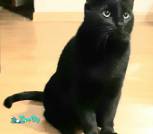 изображение_viber_2023-11-27_11-13-05-711